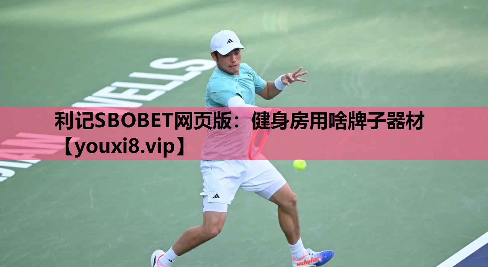 利记SBOBET网页版：健身房用啥牌子器材
