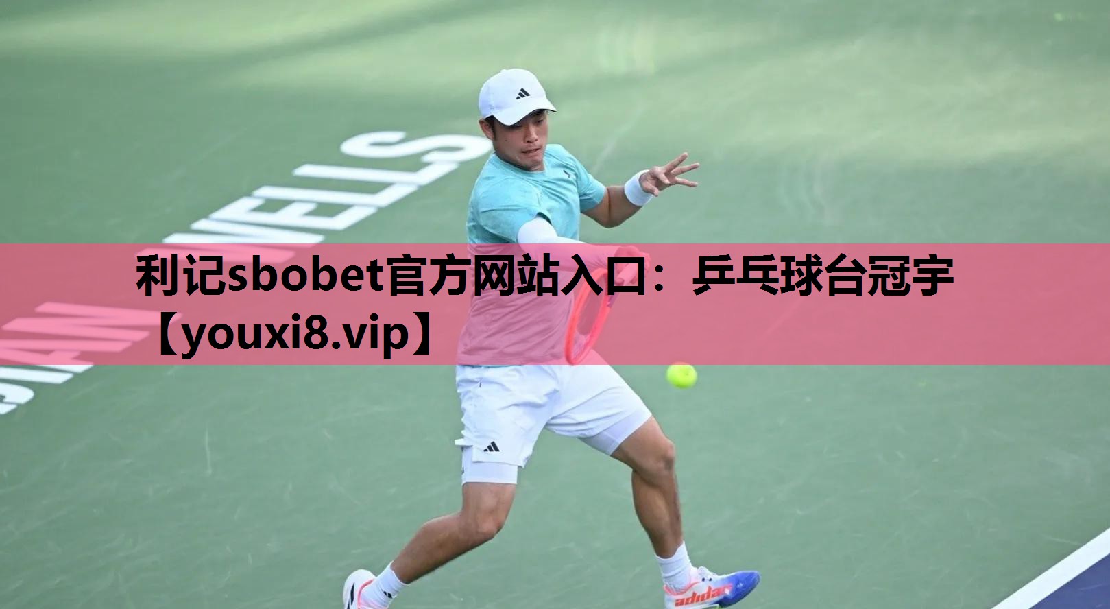 利记sbobet官方网站入口：乒乓球台冠宇