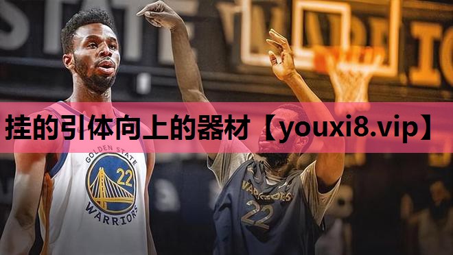 挂的引体向上的器材