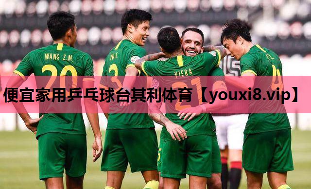 便宜家用乒乓球台其利体育