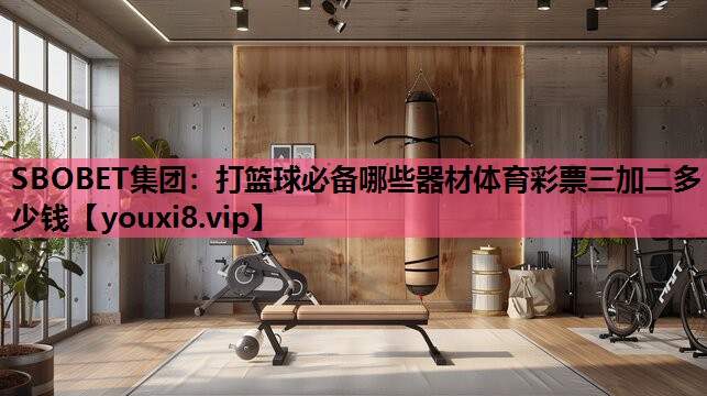 SBOBET集团：打篮球必备哪些器材体育彩票三加二多少钱