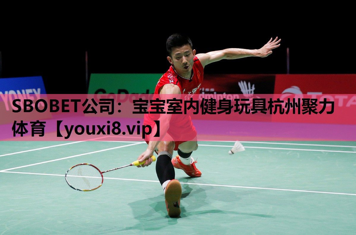 SBOBET公司：宝宝室内健身玩具杭州聚力体育