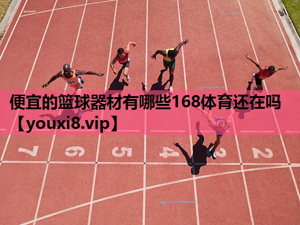 便宜的篮球器材有哪些168体育还在吗