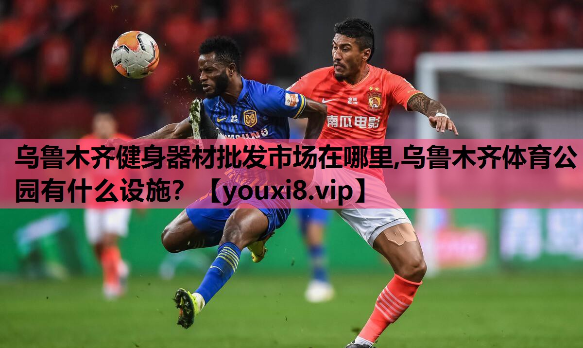 乌鲁木齐健身器材批发市场在哪里,乌鲁木齐体育公园有什么设施？