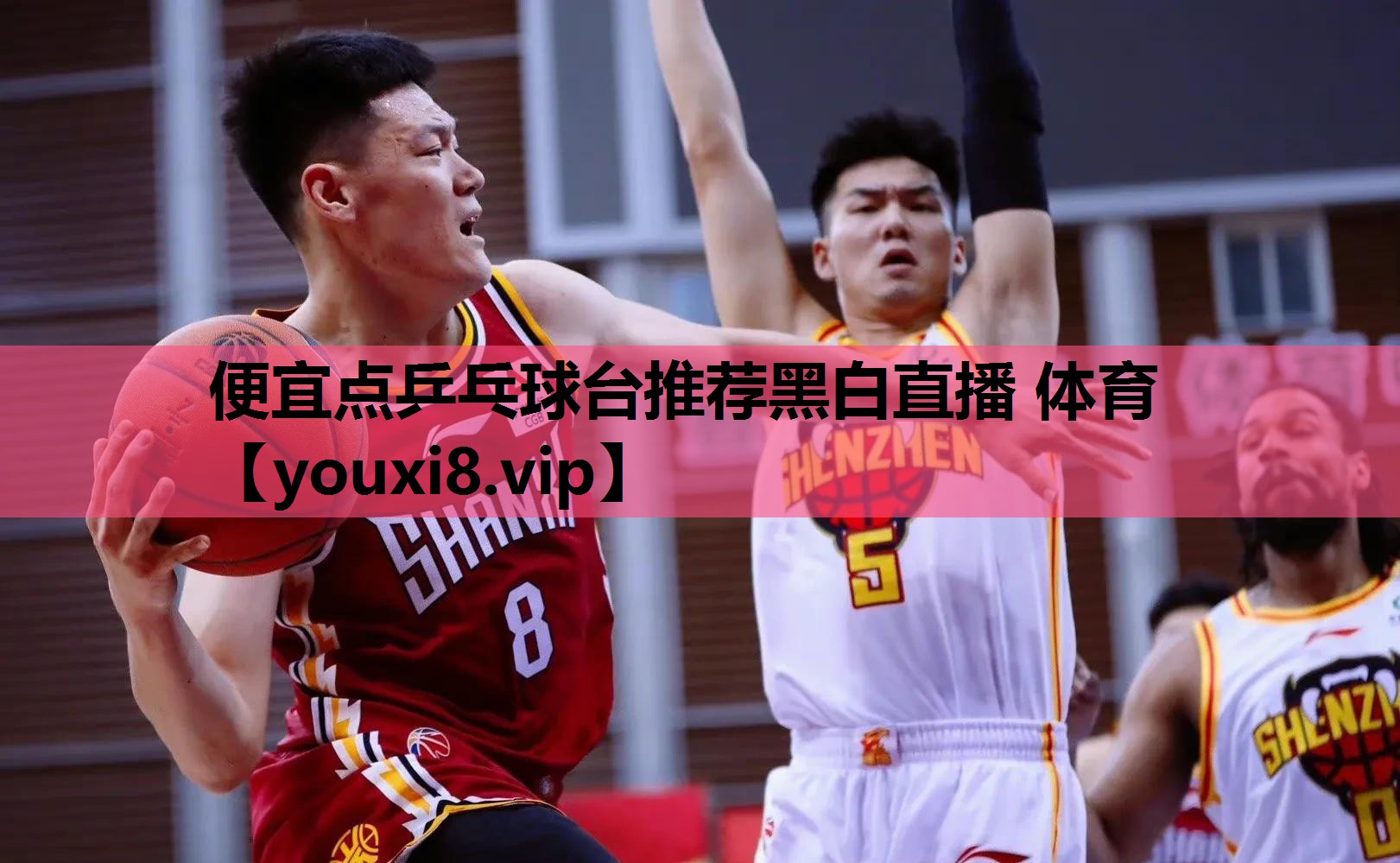 便宜点乒乓球台推荐黑白直播 体育