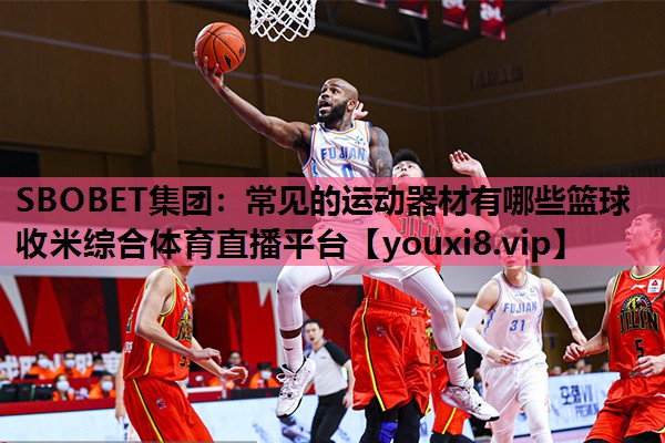 SBOBET集团：常见的运动器材有哪些篮球收米综合体育直播平台