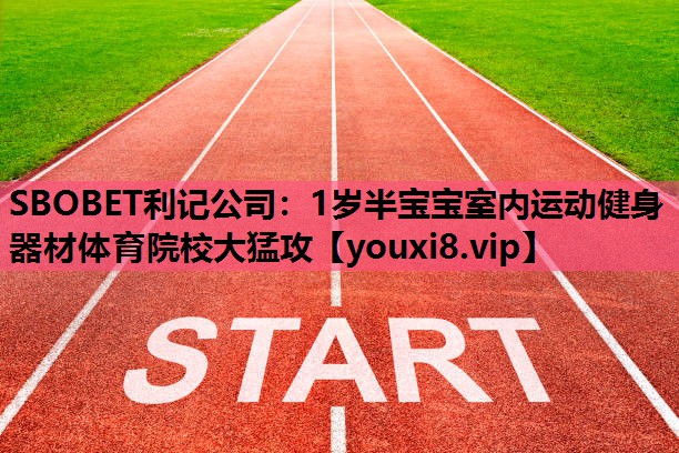 SBOBET利记公司：1岁半宝宝室内运动健身器材体育院校大猛攻