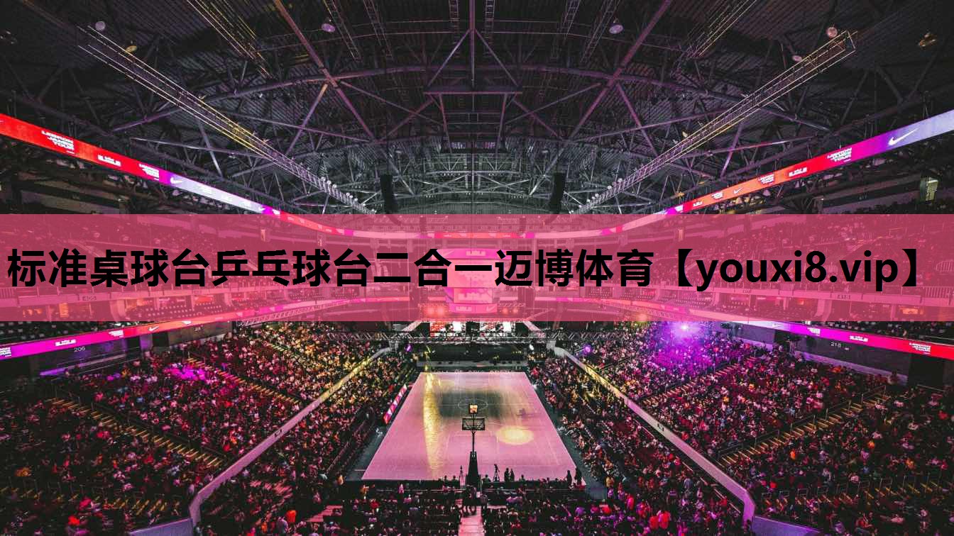标准桌球台乒乓球台二合一迈博体育