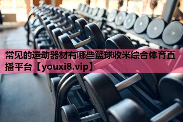 常见的运动器材有哪些篮球收米综合体育直播平台