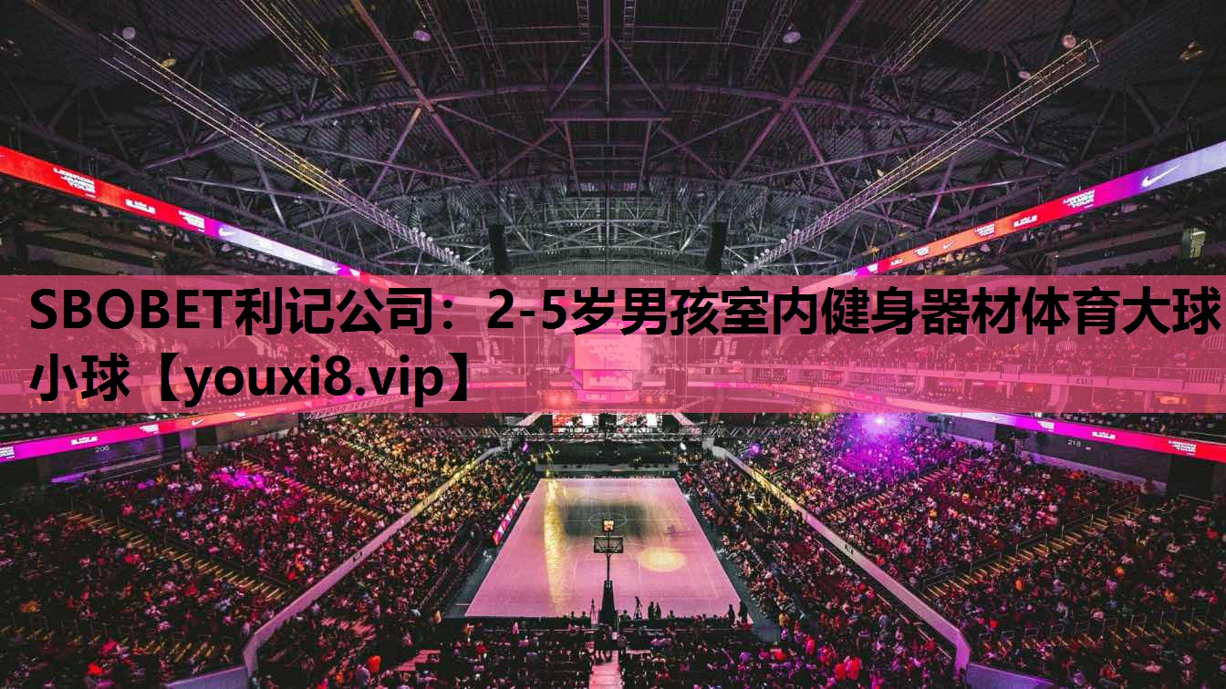 SBOBET利记公司：2-5岁男孩室内健身器材体育大球小球