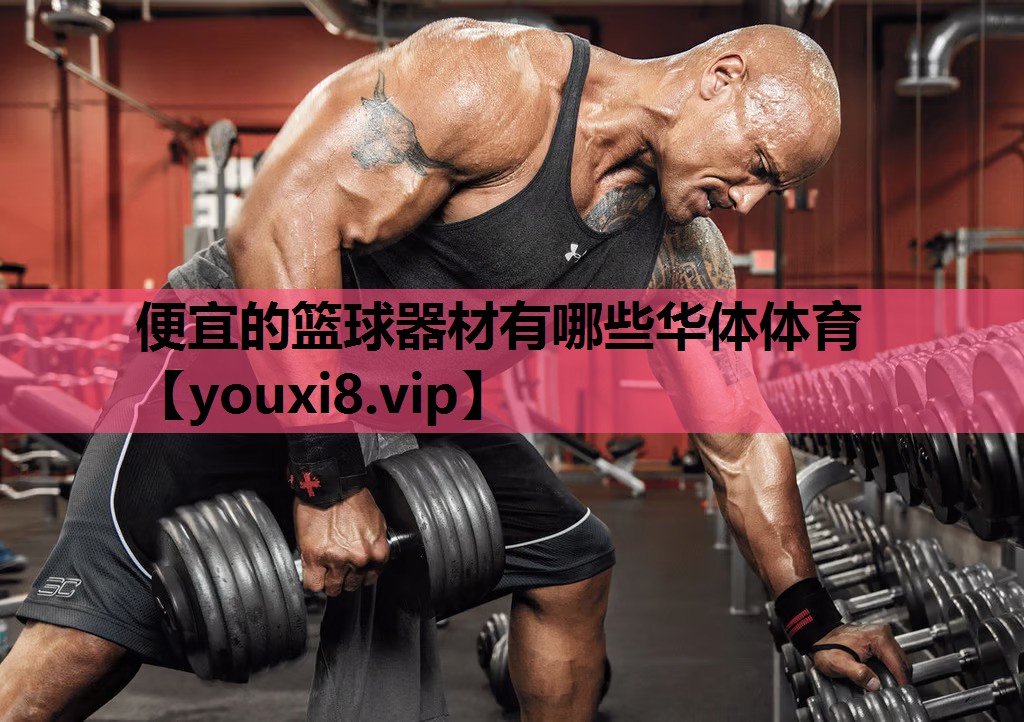 便宜的篮球器材有哪些华体体育