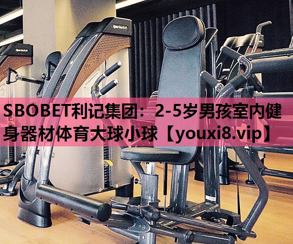 SBOBET利记集团：2-5岁男孩室内健身器材体育大球小球
