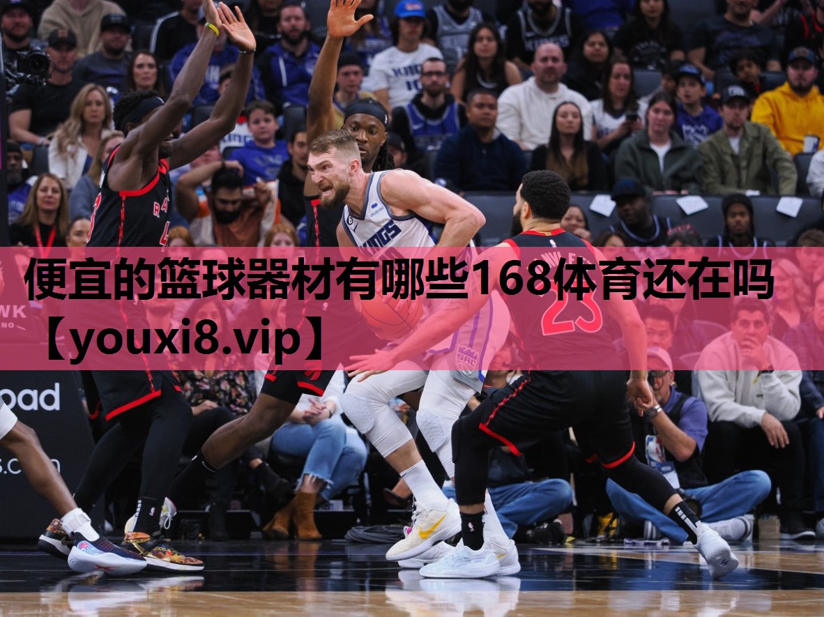 便宜的篮球器材有哪些168体育还在吗
