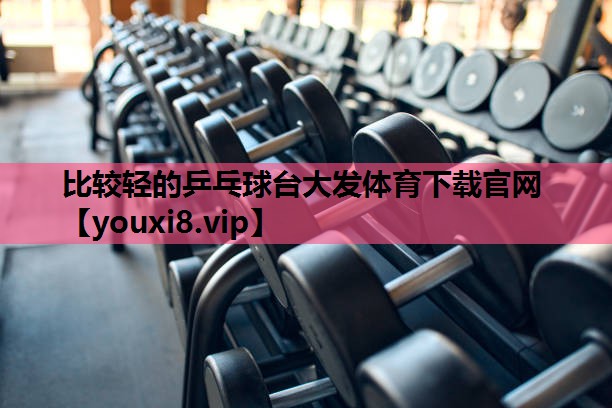 比较轻的乒乓球台大发体育下载官网