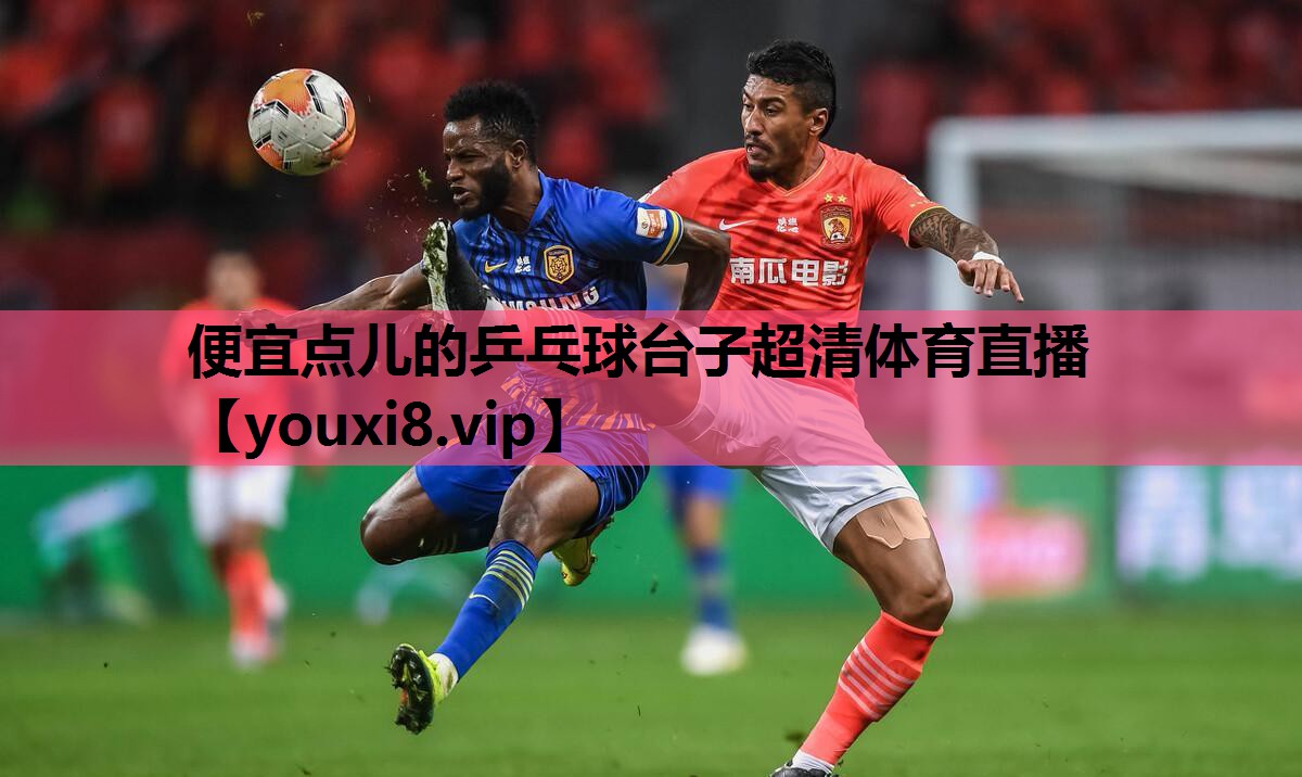 便宜点儿的乒乓球台子超清体育直播