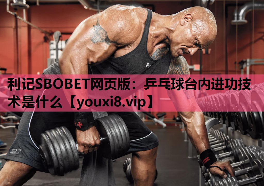 乒乓球台内进功技术是什么