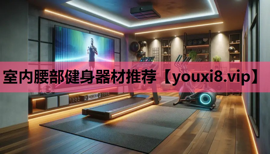 室内腰部健身器材推荐